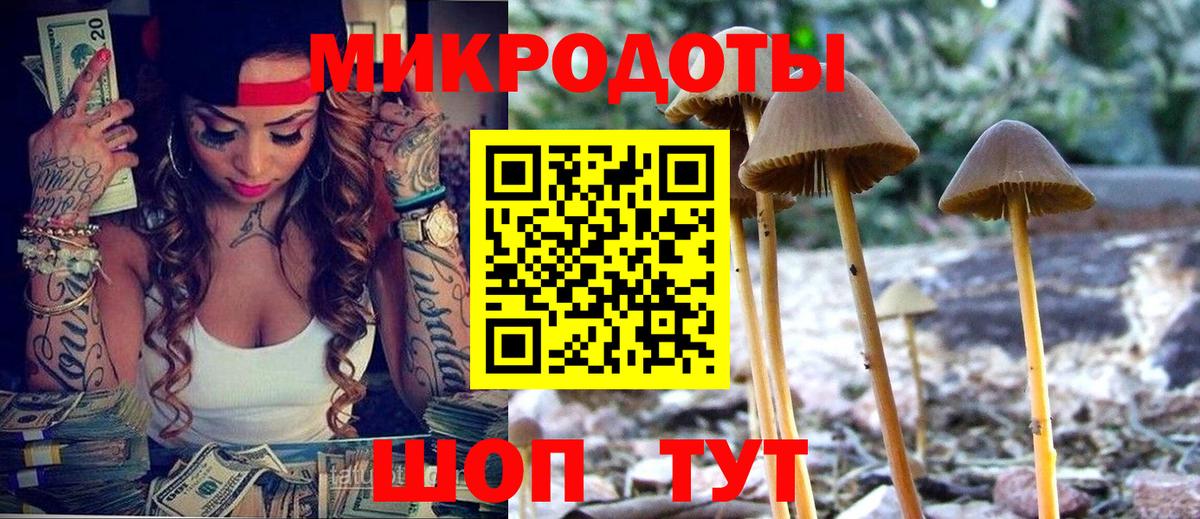 Гурьевск  Галлюциногенные грибы прущие грибы  Вход с VPN 