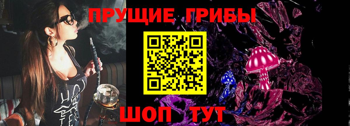 Галлюциногенные грибы прущие грибы Гурьевск